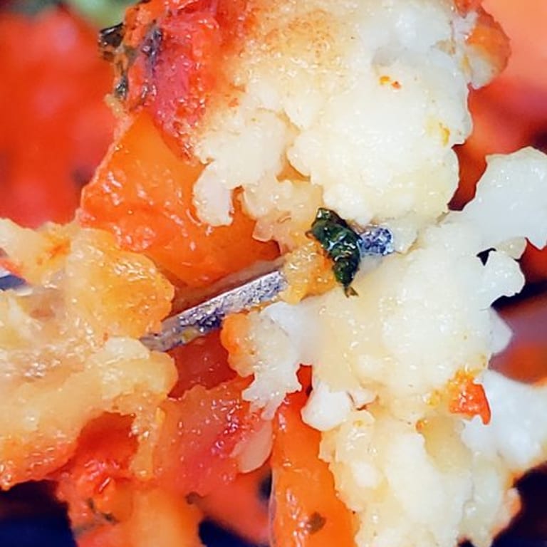 Savor Our Gobi Dishes